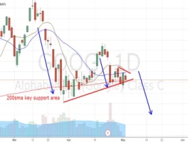 GOOG Stock Rollercoaster: Buffett Buys, Burry Rages – What the Hell is Going On?