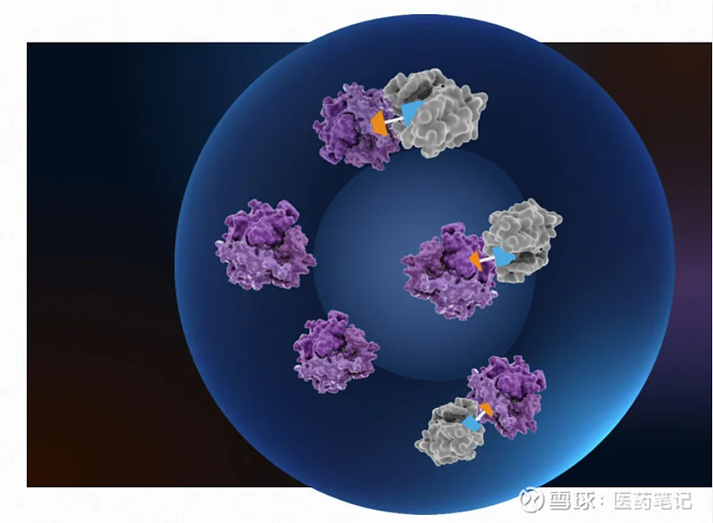 Halda Therapeutics Acquired by J&J for $3B: What's the Deal?
